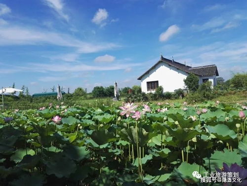 儂不曉得了吧,金山現在了不得了......