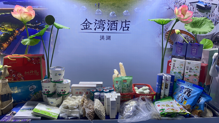 生態(tài)園項目閃耀湖北文旅盛會，洪旅集團助力新質(zhì)文旅發(fā)展