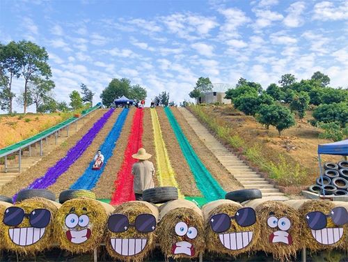 鳳崗農(nóng)業(yè)生態(tài)園 省級休閑農(nóng)業(yè)與鄉(xiāng)村旅游示范點的璀璨明珠