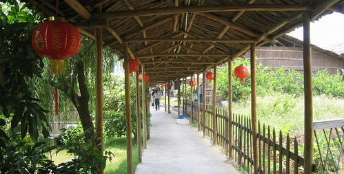 盈香生態(tài)園門票全攻略 預訂方式、價格信息與游玩指南